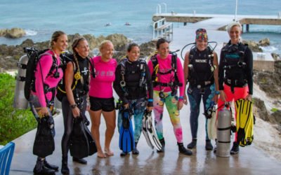 BCF Newsletter July 2021 – Women’s Dive Day!